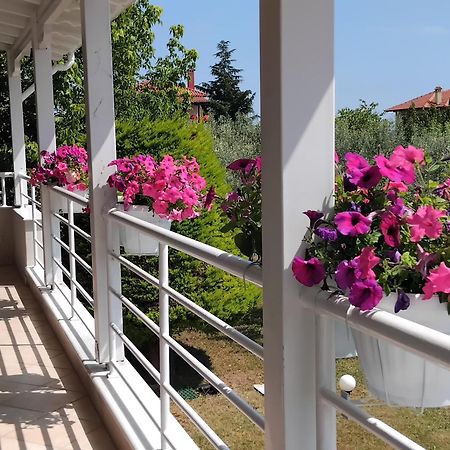 Villa Tammy'S Garden House Leptokarya  Esterno foto
