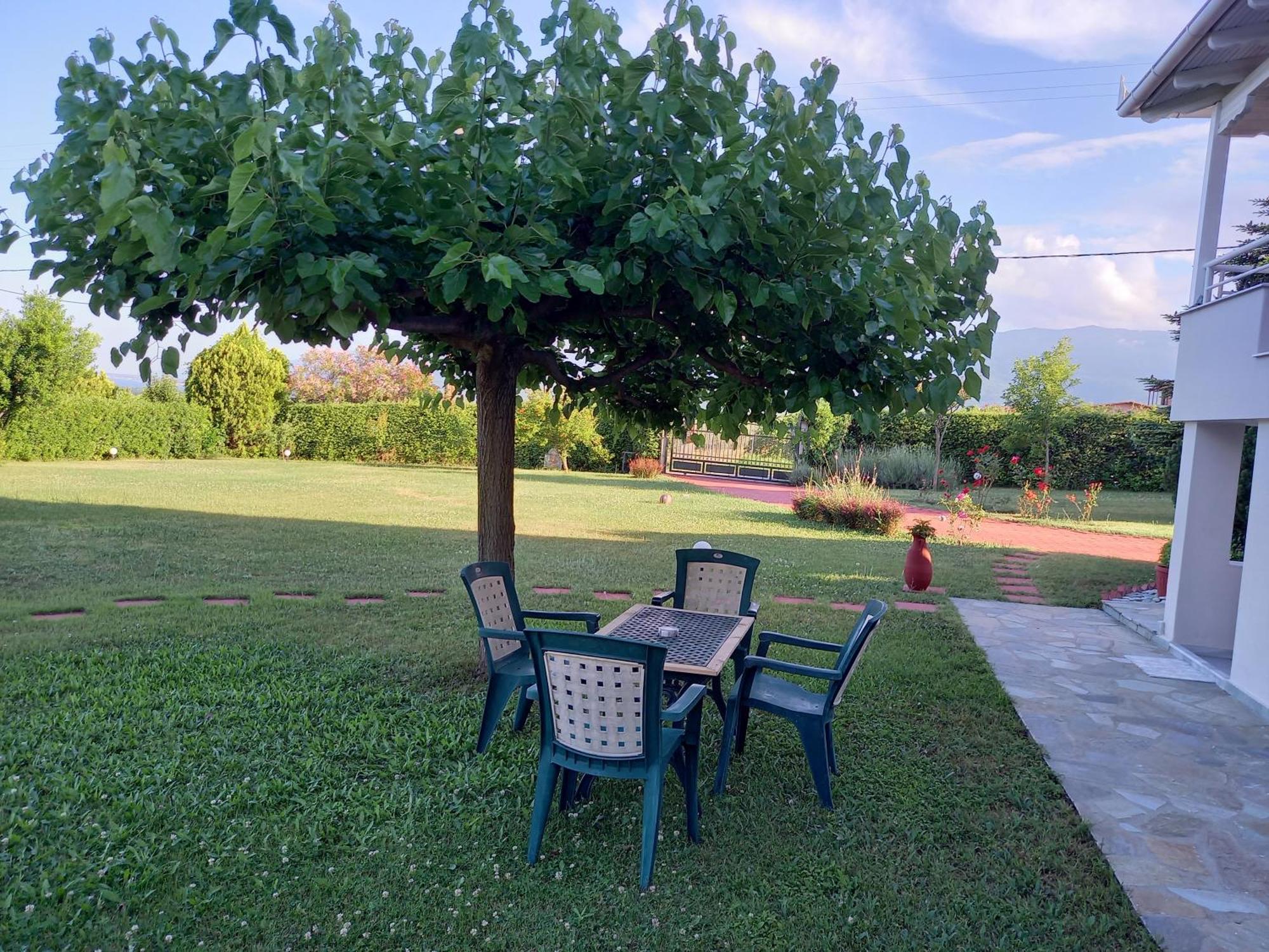 Villa Tammy'S Garden House Leptokarya  Esterno foto