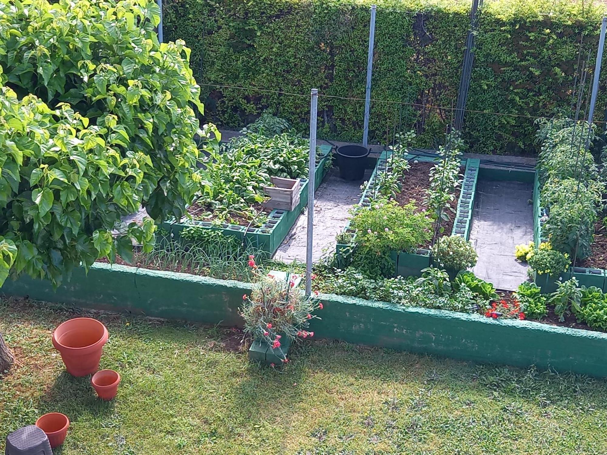 Villa Tammy'S Garden House Leptokarya  Esterno foto