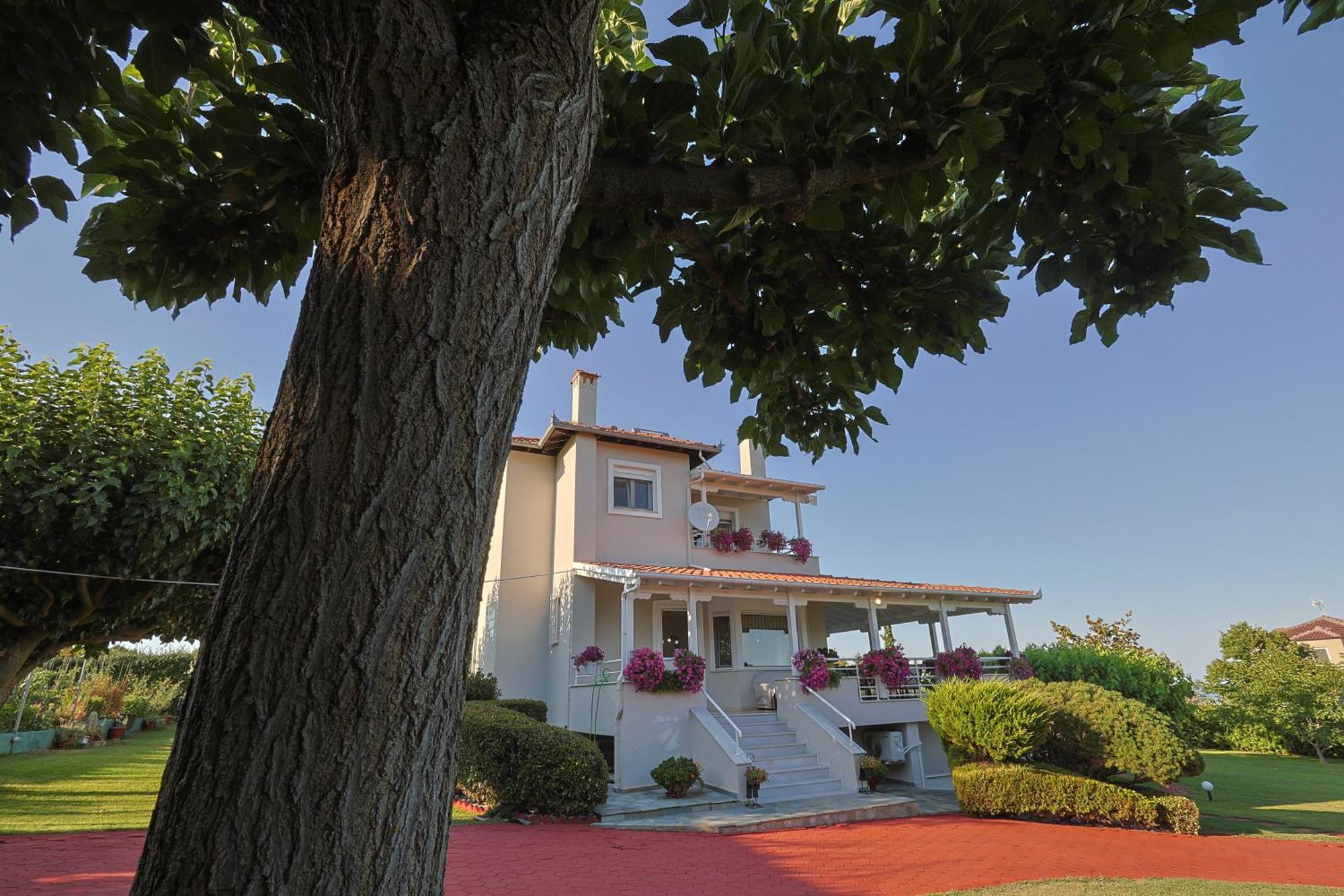 Villa Tammy'S Garden House Leptokarya  Esterno foto