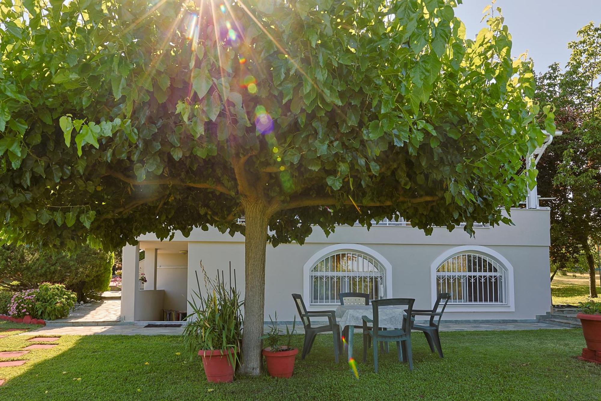 Villa Tammy'S Garden House Leptokarya  Esterno foto