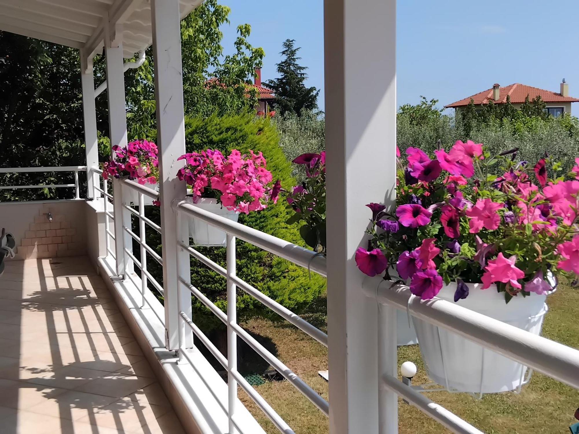 Villa Tammy'S Garden House Leptokarya  Esterno foto