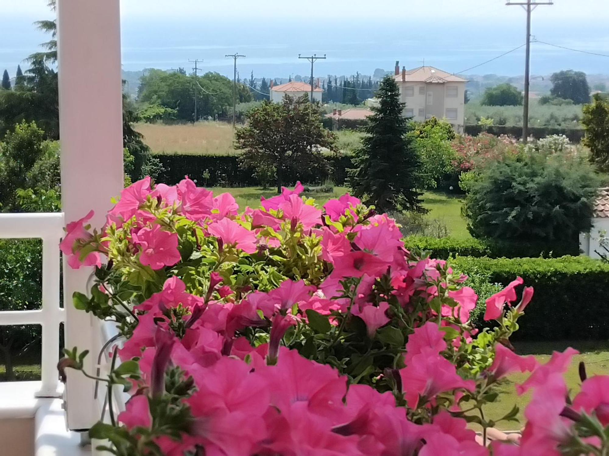 Villa Tammy'S Garden House Leptokarya  Esterno foto