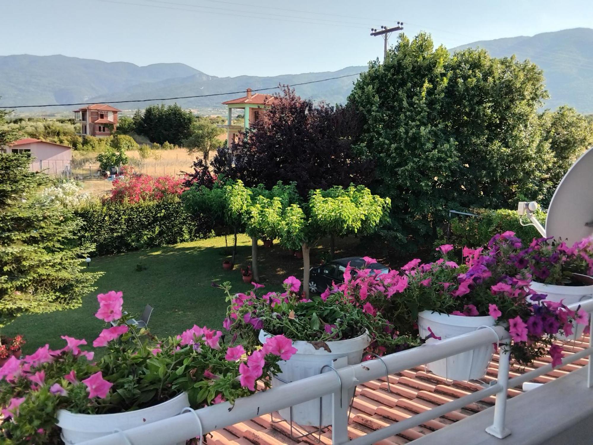 Villa Tammy'S Garden House Leptokarya  Esterno foto