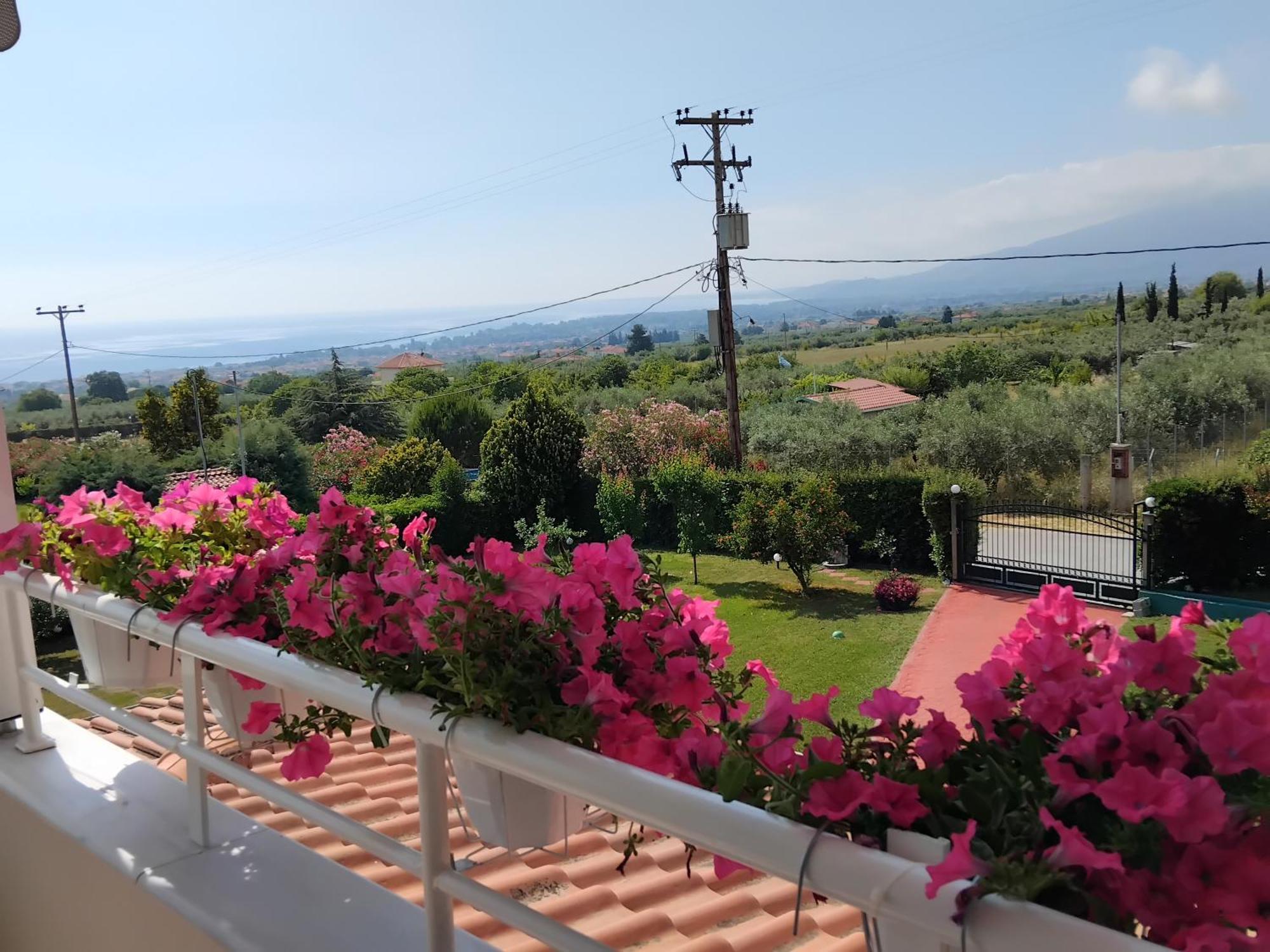 Villa Tammy'S Garden House Leptokarya  Esterno foto