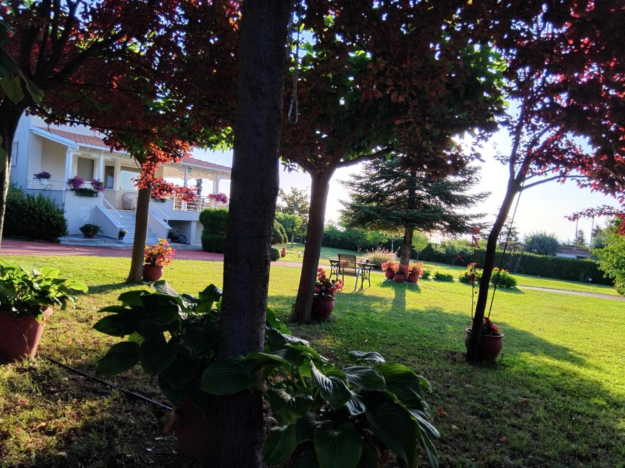 Villa Tammy'S Garden House Leptokarya  Esterno foto