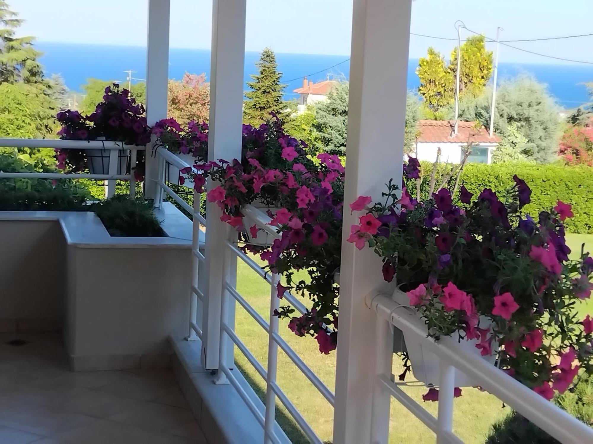 Villa Tammy'S Garden House Leptokarya  Esterno foto