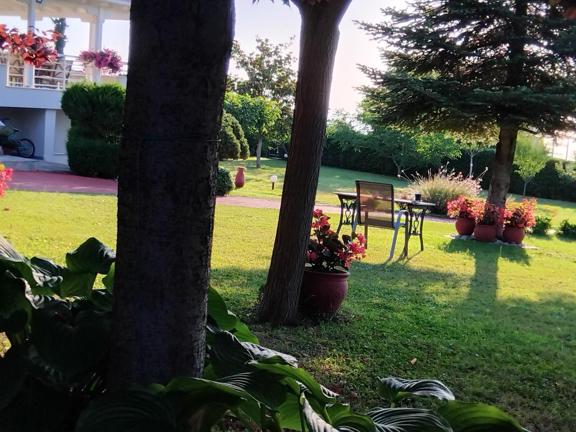 Villa Tammy'S Garden House Leptokarya  Esterno foto
